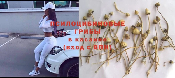 скорость Покачи