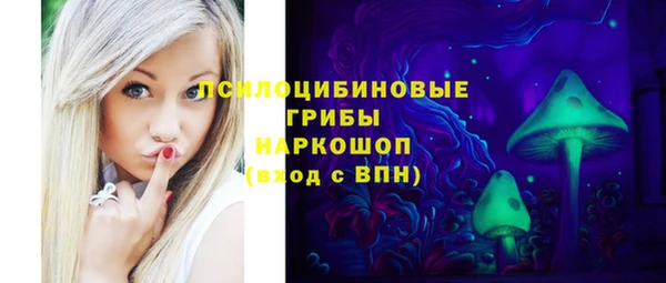 2c-b Пестово