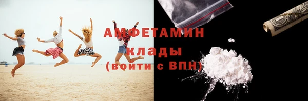 индика Осинники
