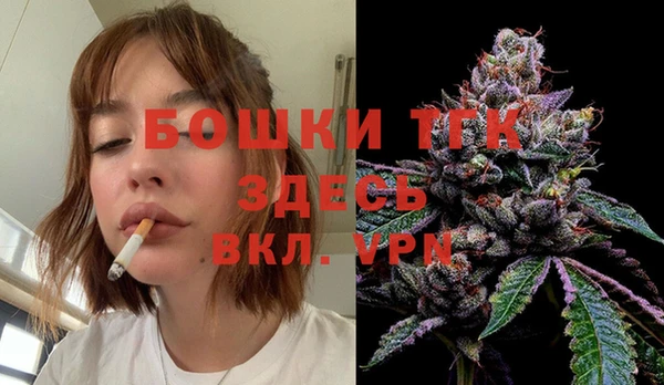 2c-b Пестово