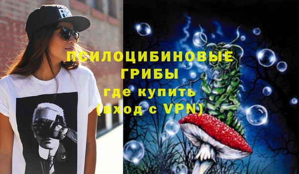 тгк Переславль-Залесский